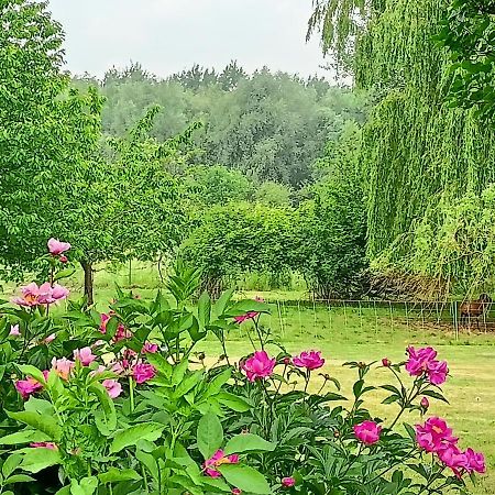 Les Chambres Du Vert Galant Rez De Jardin Verlinghem Екстер'єр фото
