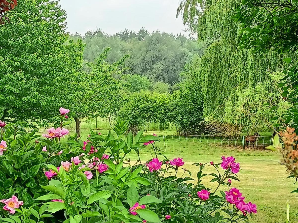 Les Chambres Du Vert Galant Rez De Jardin Verlinghem Екстер'єр фото